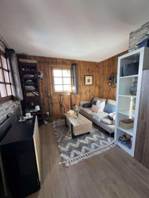 Appartement T2 de charme vue montblanc